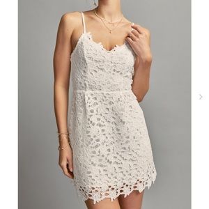 Gramercy Openwork Lace Mini Dress